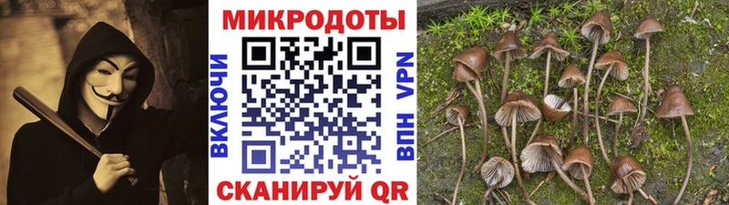 Псилоцибиновые грибы MAGIC MUSHROOMS  Купить  Фёдоровский 